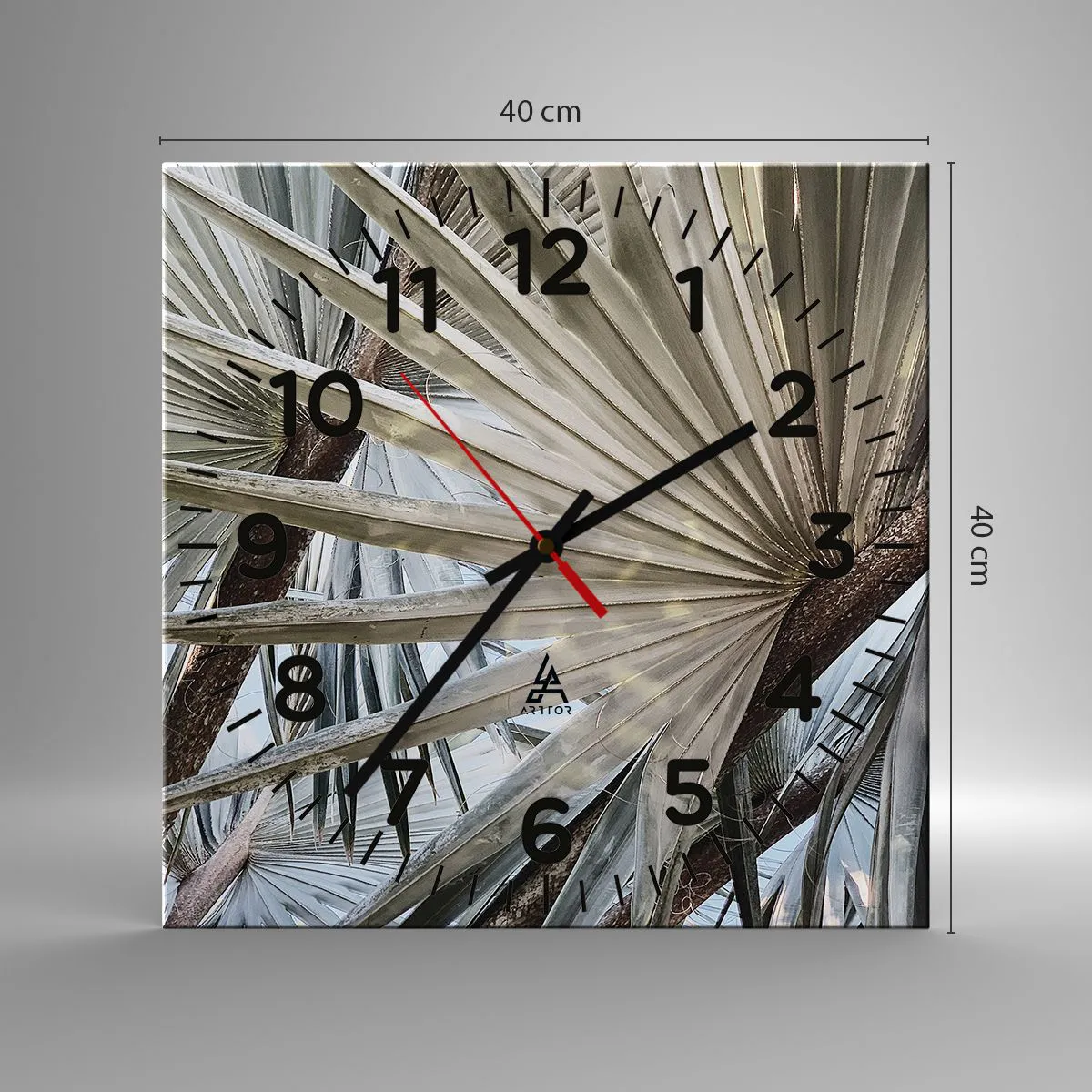 Wall clock - Clock on glass - Fans in tropics - 40x40 cm