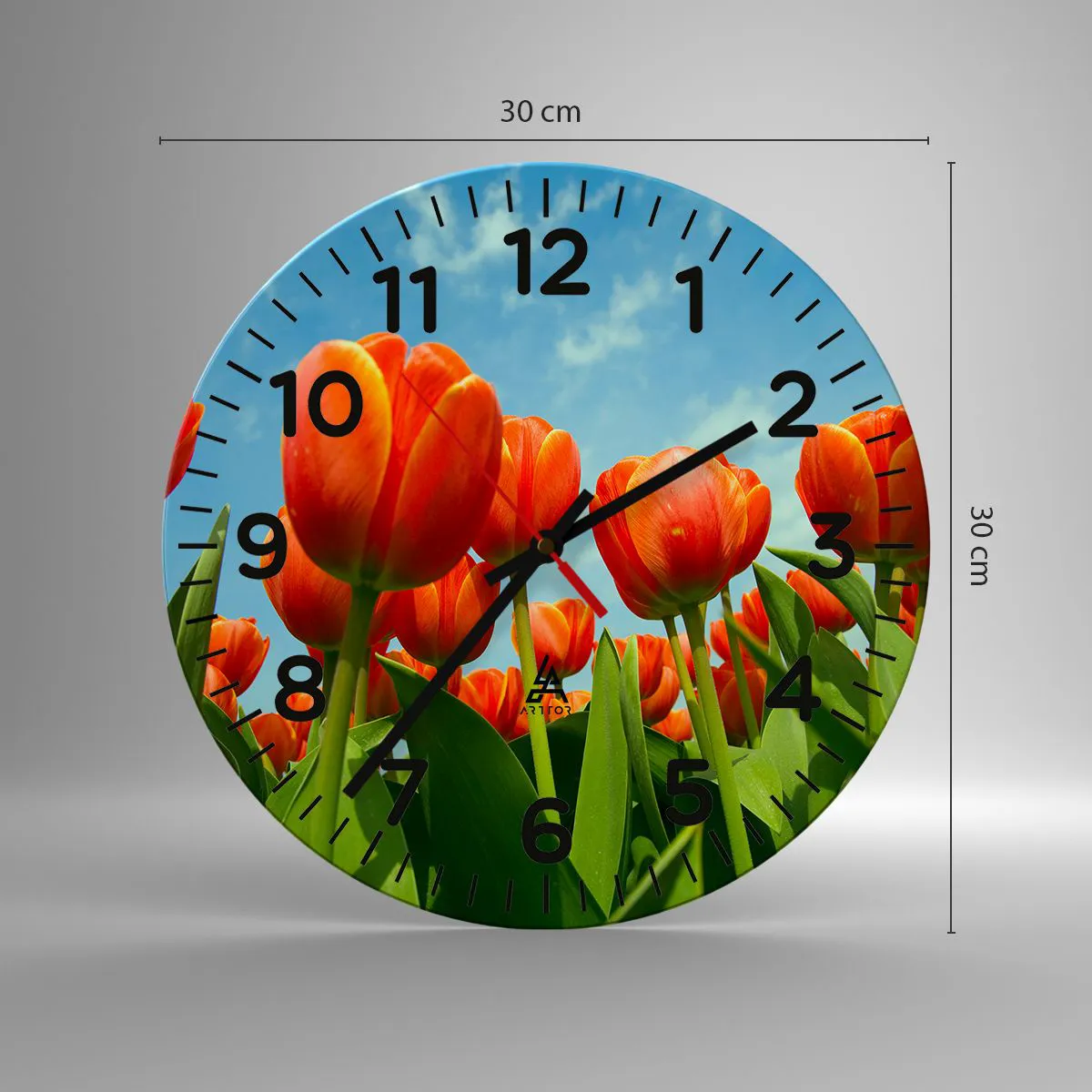 Orologio da parete - Orologio in Vetro - A loro non serve nulla oltre al cielo azzurro - 30x30 cm