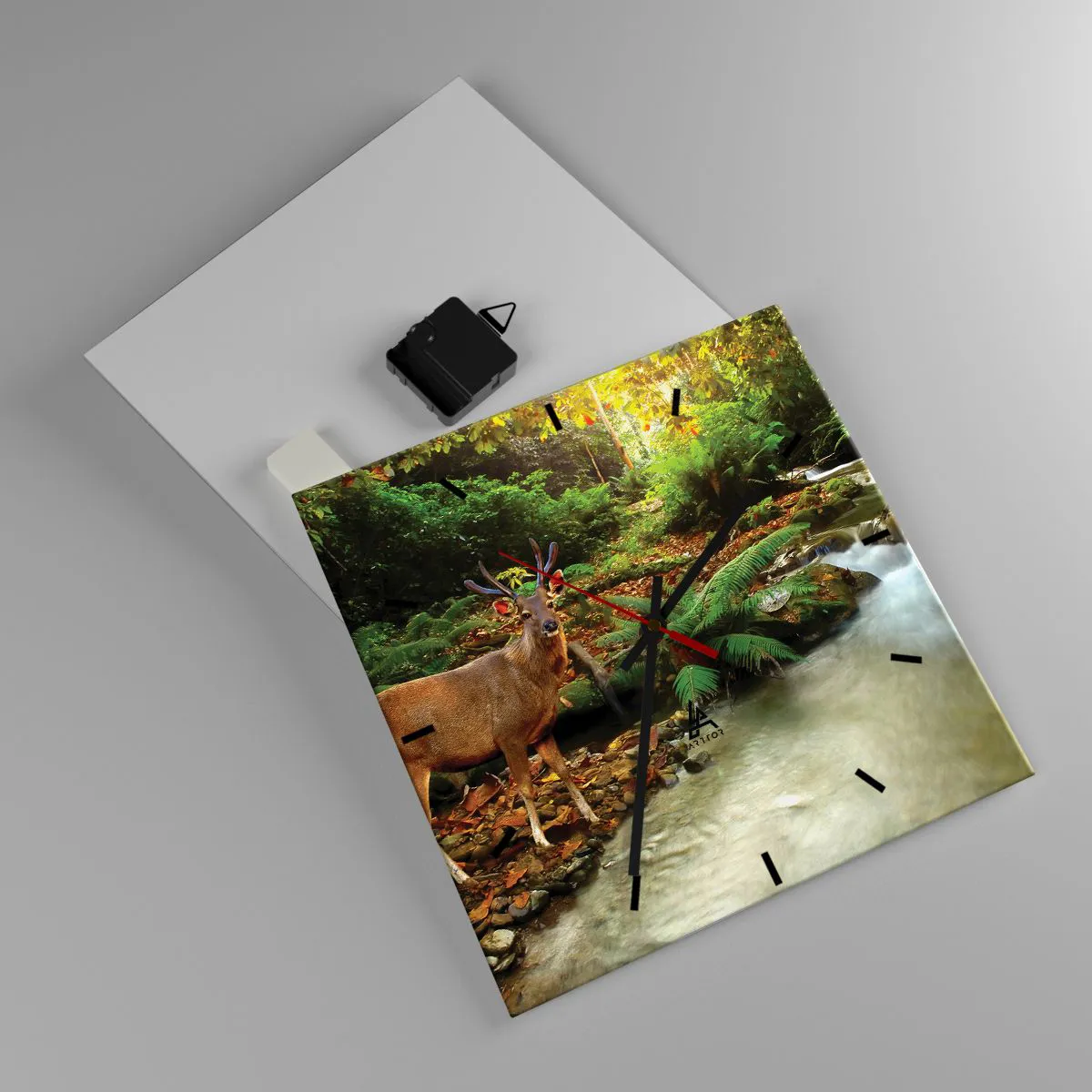 Wanduhr - Glasuhr - Ein Reh an einem Bach, umgeben von Grün im Wald - 30x30cm - Willkommen in meiner Welt - Moderne Wanddekoration für Wohnzimmer und Schlafzimmer ARTTOR