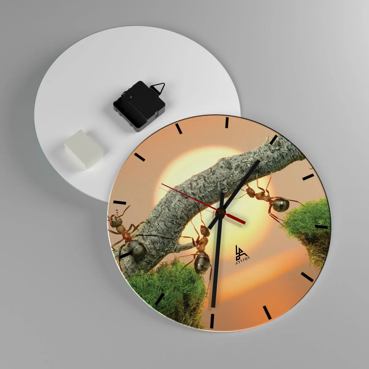 Väggklocka - Klocka på glas - Myror på en gren i ljuset av den nedgående solen - 30x30cm - Glatt, gemensamt arbete - Modern väggdekoration för vardagsrum, kök och sovrum ARTTOR