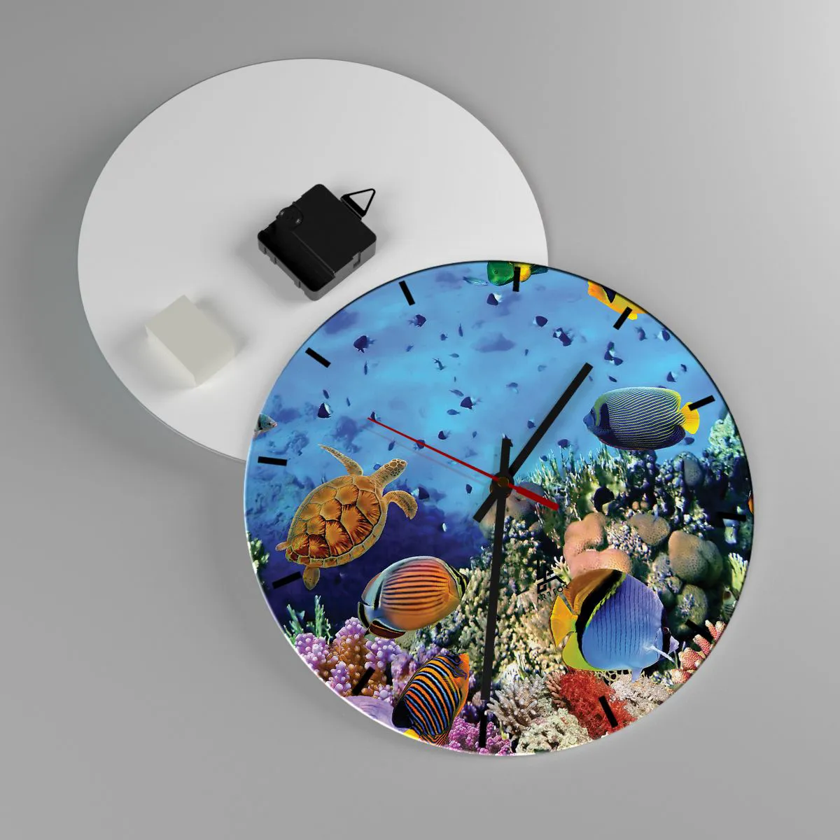 Relógio de parede - Relógio em vidro - Mundo subaquático com tartarugas, peixes e recifes de corais - 30x30cm - E o que sabemos sobre a vida... - Decoração de parede moderna para a sala de estar, cozinha e quarto ARTTOR