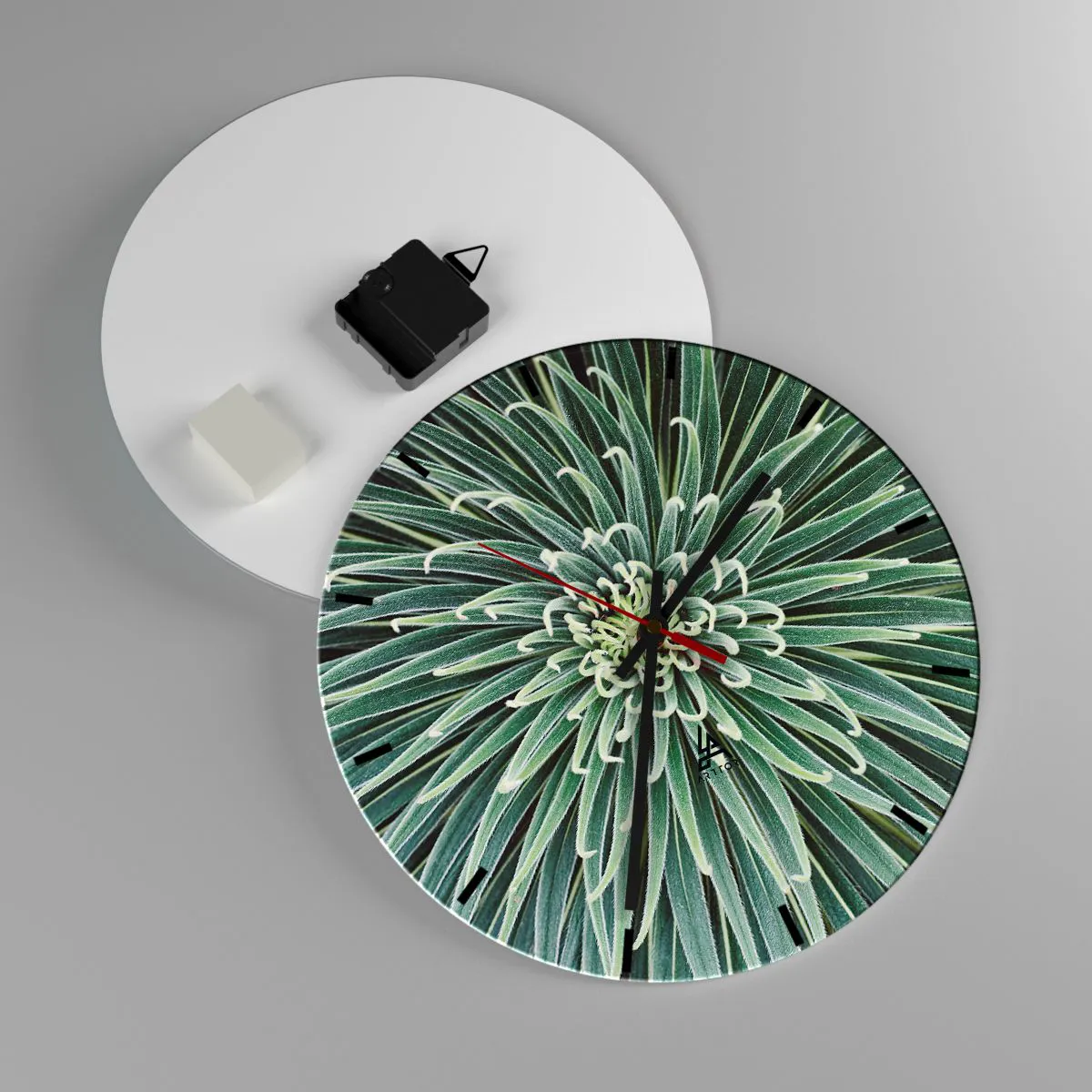 Wanduhr - Glasuhr - Eine Nahaufnahme einer symmetrischen Pflanze mit radial angeordneten Blättern. - 30x30cm - Ein Star ist geboren - Moderne Wanddekoration für Wohnzimmer, Küche und Schlafzimmer ARTTOR