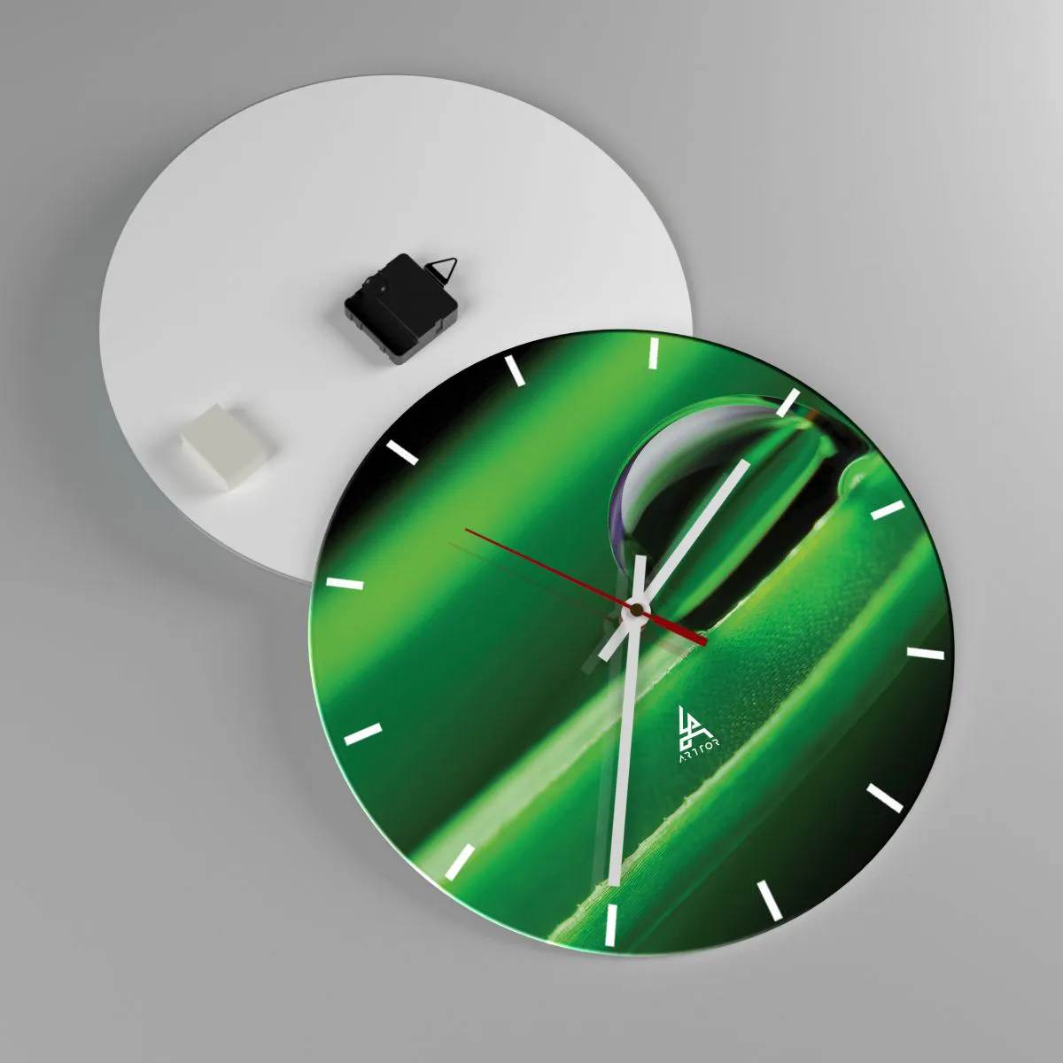 Nástěnné hodiny - Život z blízka - 40x40 cm