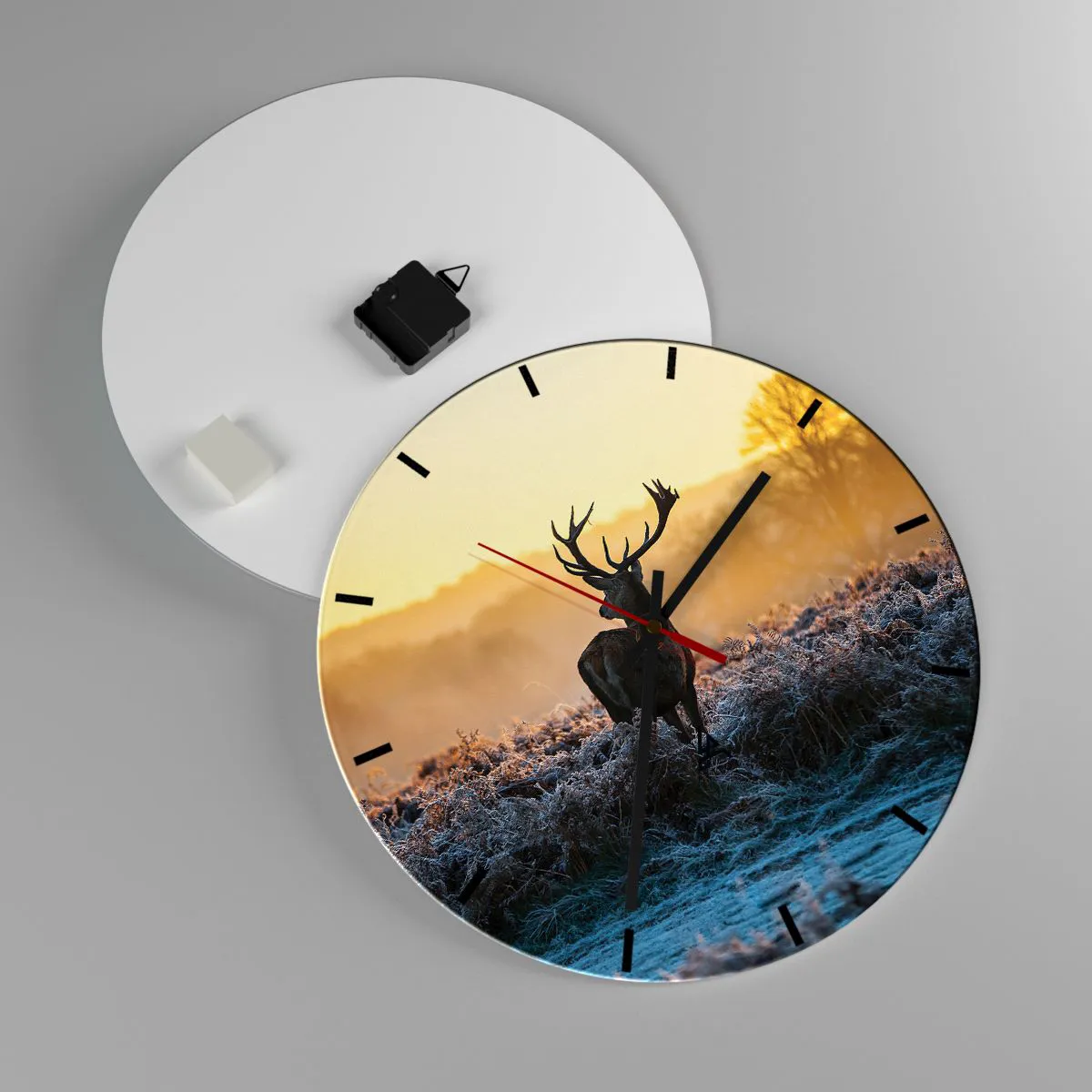 Falióra, Óra - Megkoronázott a birtokán - 40x40 cm