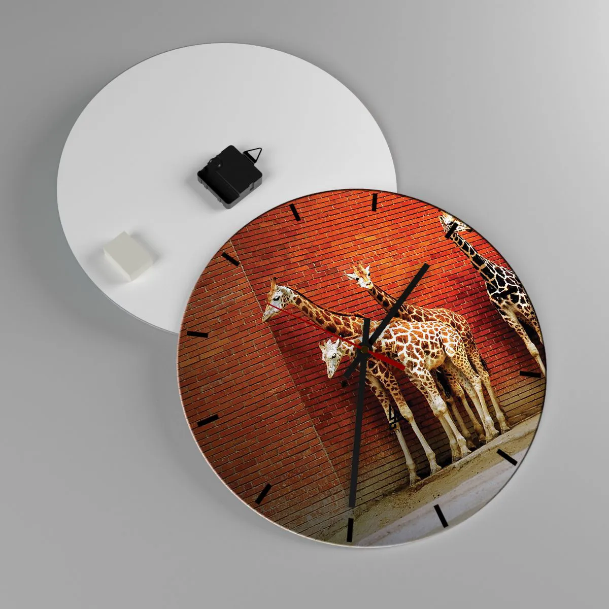 Wanduhr - Glasuhr - Sehen Sie Akazien? - 40x40 cm