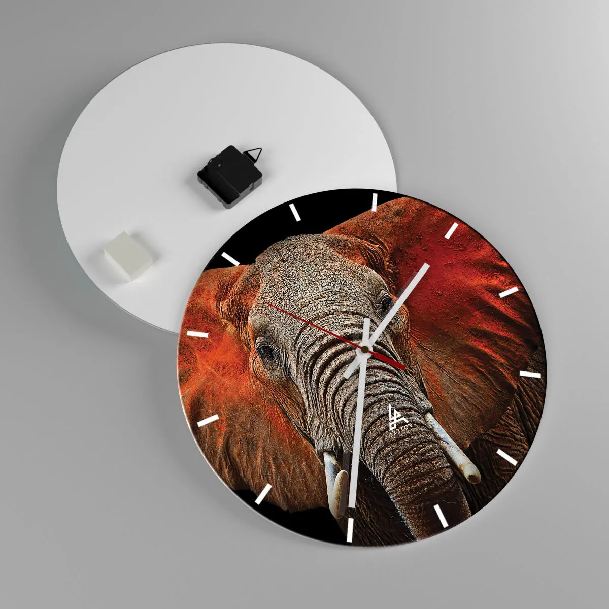 Vægur, Uret - Jeg er vild, er du? - 40x40 cm