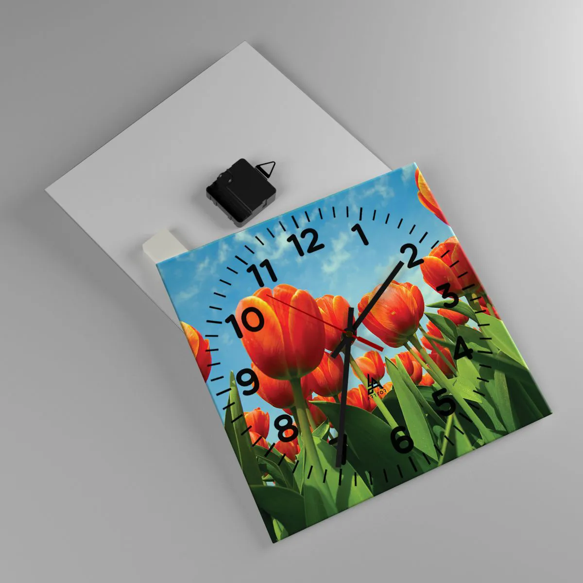 Orologio da parete - Orologio in Vetro - A loro non serve nulla oltre al cielo azzurro - 30x30 cm