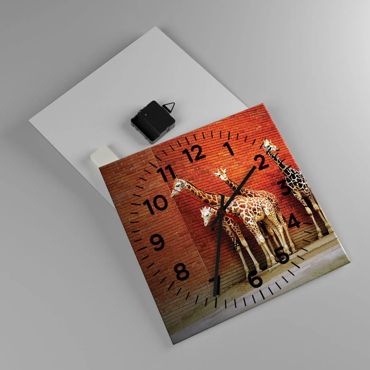 Wall clock - Clock on glass - Can You See an Acacia? - 30x30 cm