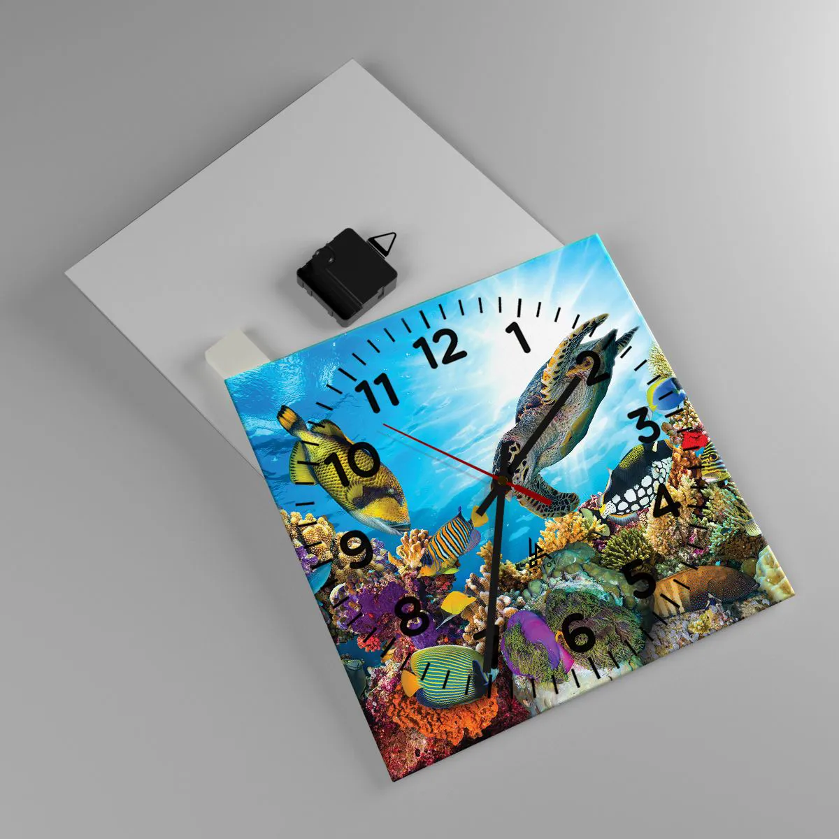 Ceas de perete - Ceas pe sticlă - Promenada de corali - 30x30 cm