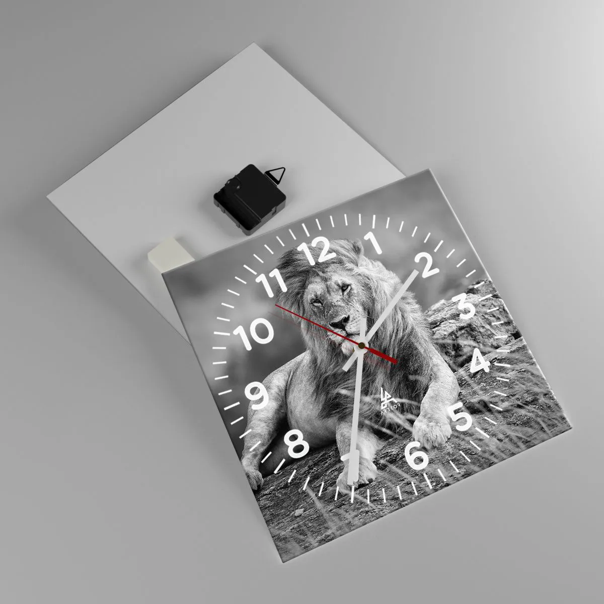 Falióra, Óra - Királyi szieszta - 30x30 cm