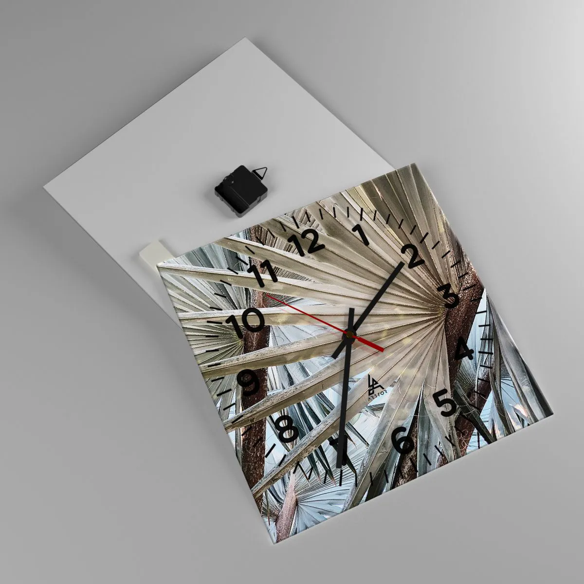 Wall clock - Clock on glass - Fans in tropics - 40x40 cm