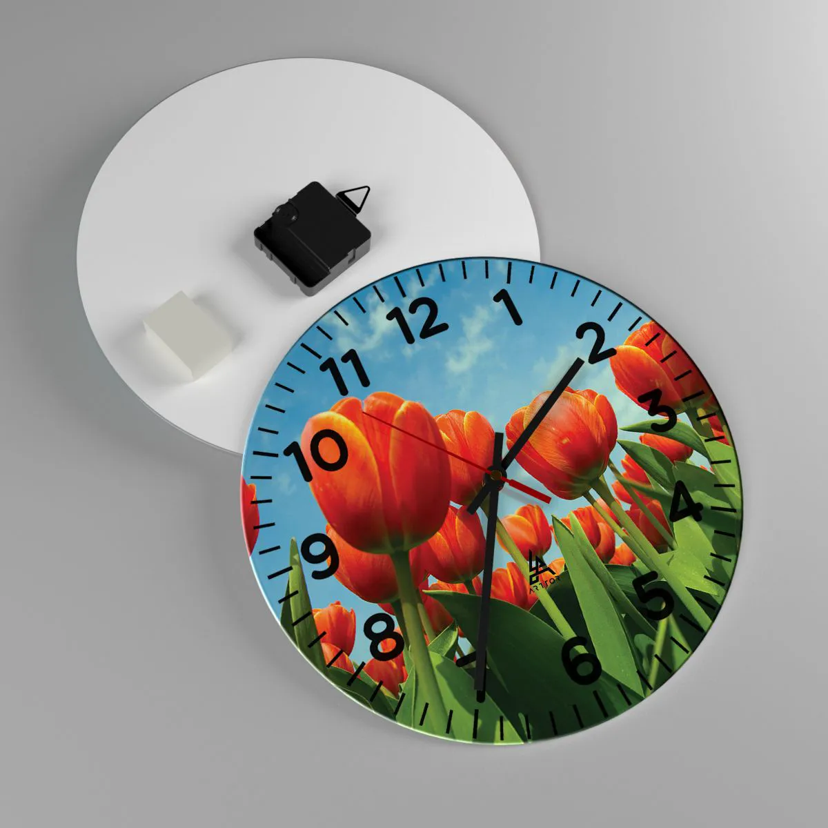 Orologio da parete - Orologio in Vetro - A loro non serve nulla oltre al cielo azzurro - 30x30 cm