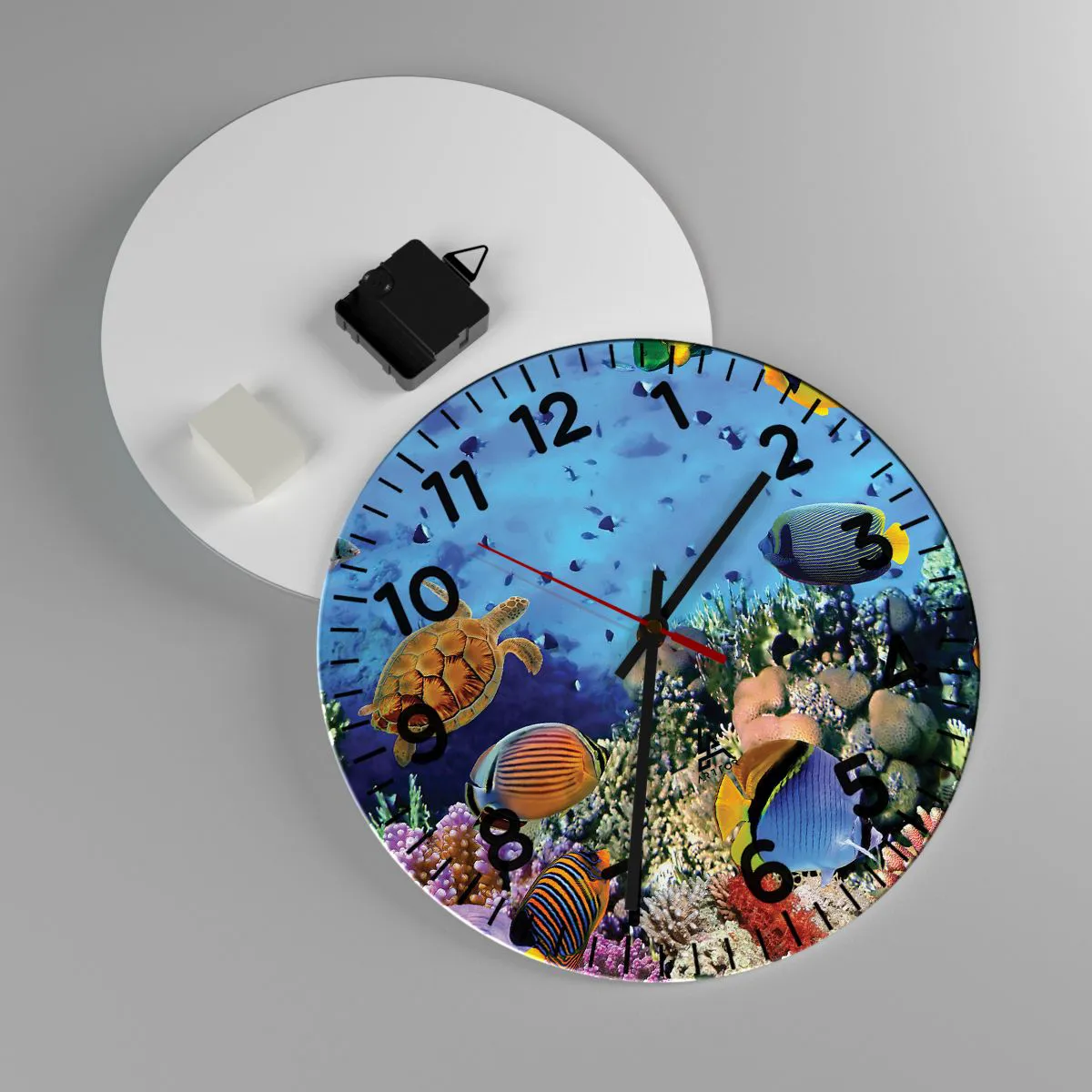 Reloj de pared - Reloj de vidrio - Y qué sabemos de la vida... - 30x30 cm