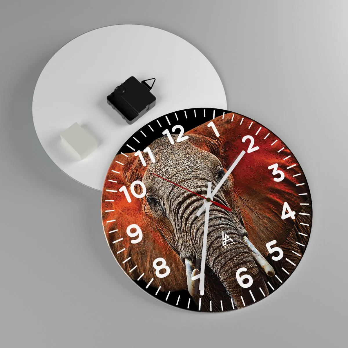Reloj de pared - Reloj de vidrio - Soy salvaje, ¿y tú? - 30x30 cm