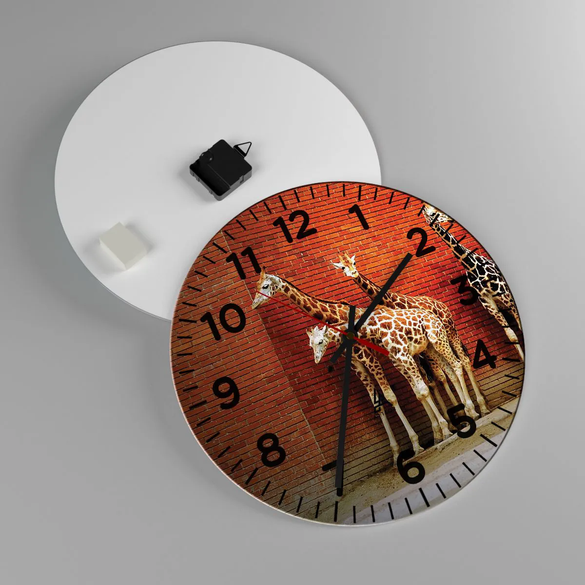 Wanduhr - Glasuhr - Sehen Sie Akazien? - 40x40 cm