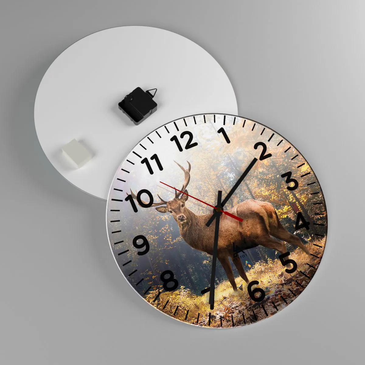 Horloge murale - Pendule murale - Toute sa majesté - 40x40 cm