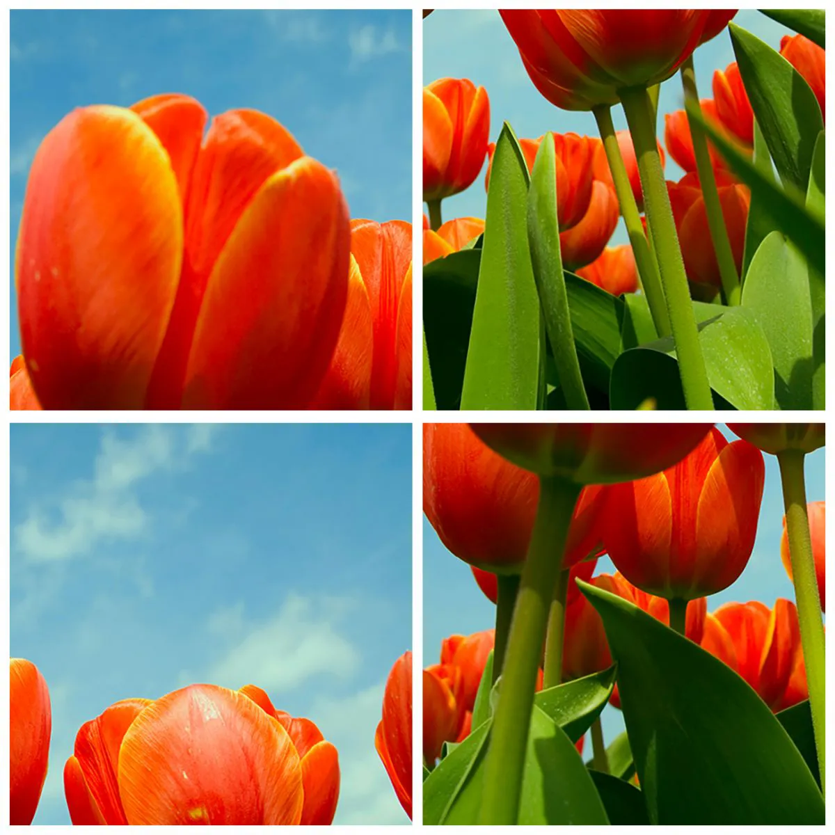 Ceas de perete - Ceas pe sticlă - Doar cerul albastru - 30x30 cm