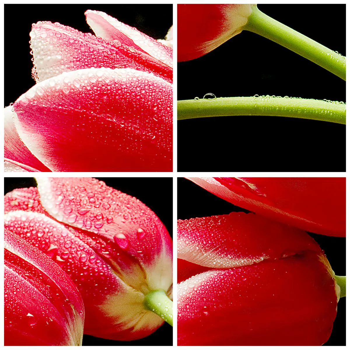 Nástěnné hodiny - Slib čisté lásky - 30x30 cm