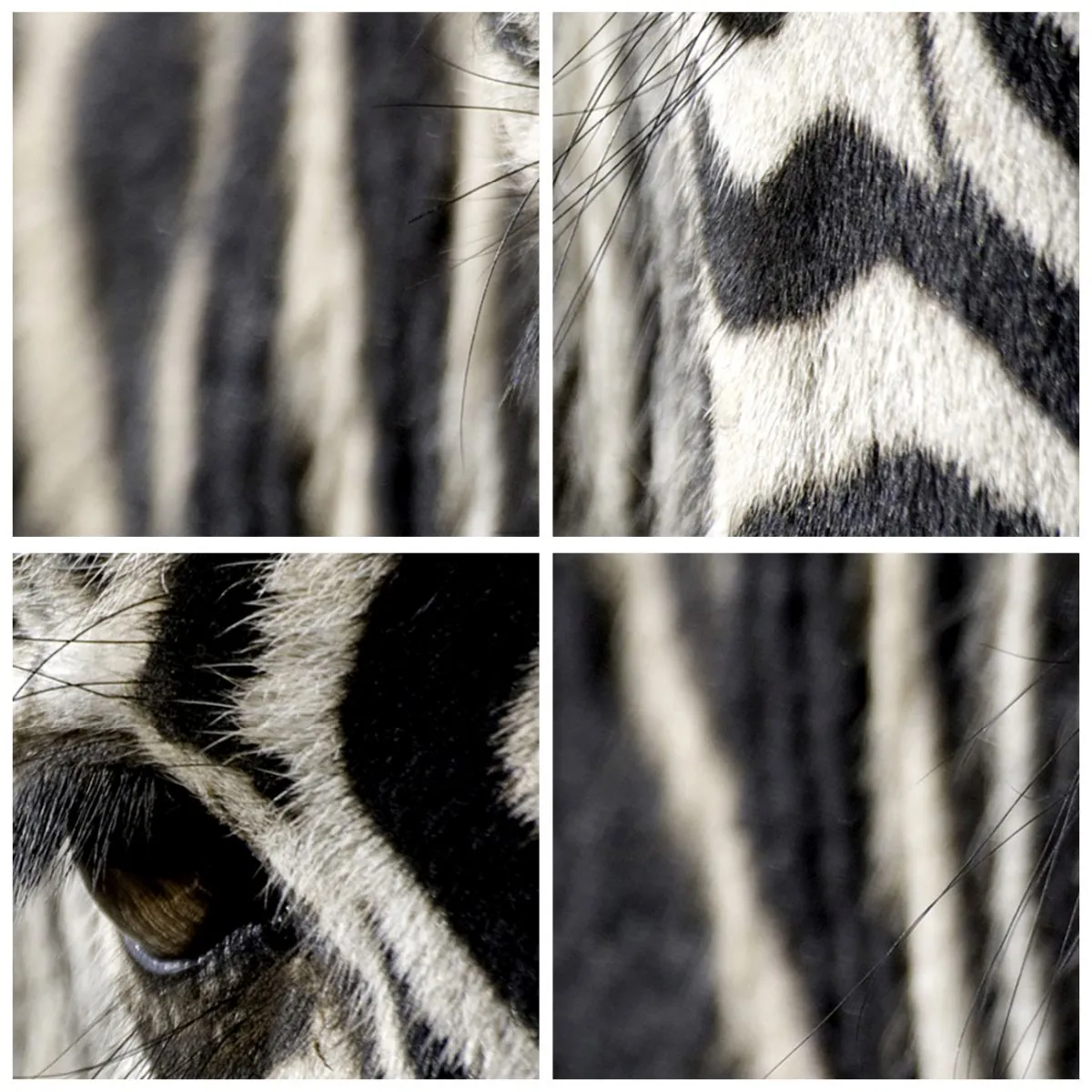 Väggklocka - Klocka på glas - Randig porträtt - 30x30 cm