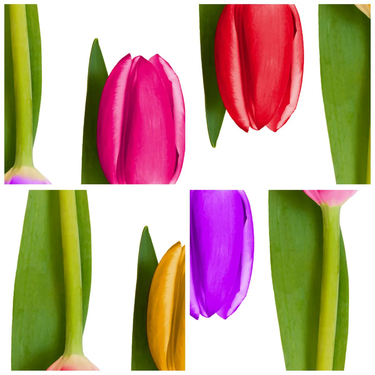 Ceas de perete - Ceas pe sticlă - Compoziție curcubeu - 30x30 cm