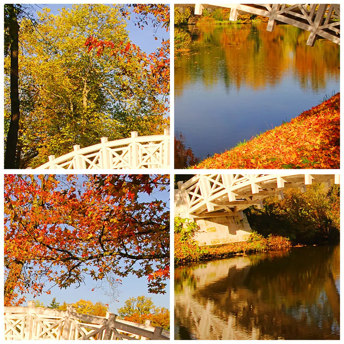Wanduhr - Glasuhr - Eine weiße Brücke über einen Fluss, umgeben von Herbstbäumen - 30x30cm - Auf der weißen Seufzerbrücke - Moderne Wanddekoration für Wohnzimmer, Küche und Schlafzimmer ARTTOR