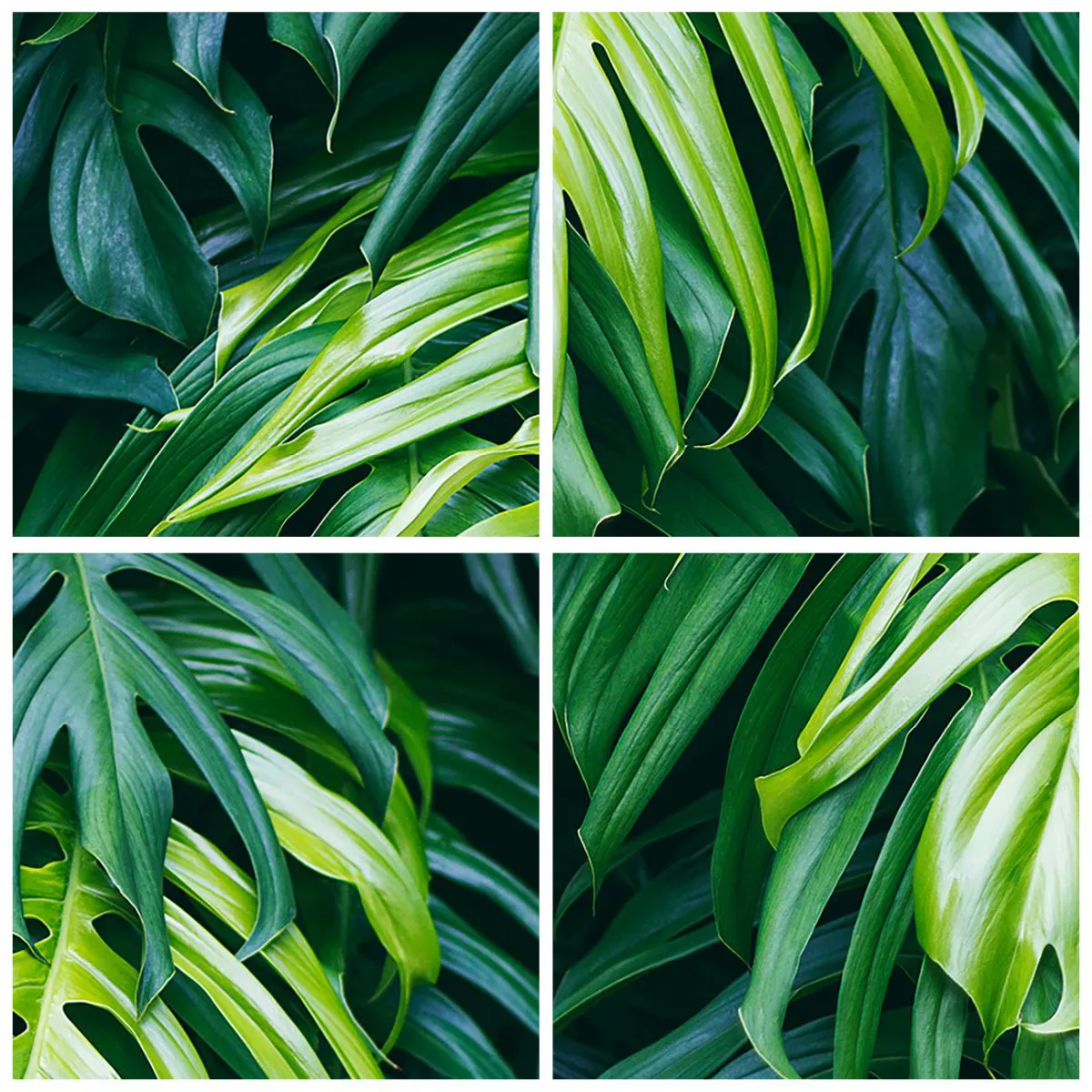 Horloge murale - Pendule murale - Feuilles vertes dans un cadre naturel - 30x30cm - Immergez-vous dans la fraîcheur - Décoration murale moderne pour le salon, la cuisine et la chambre ARTTOR