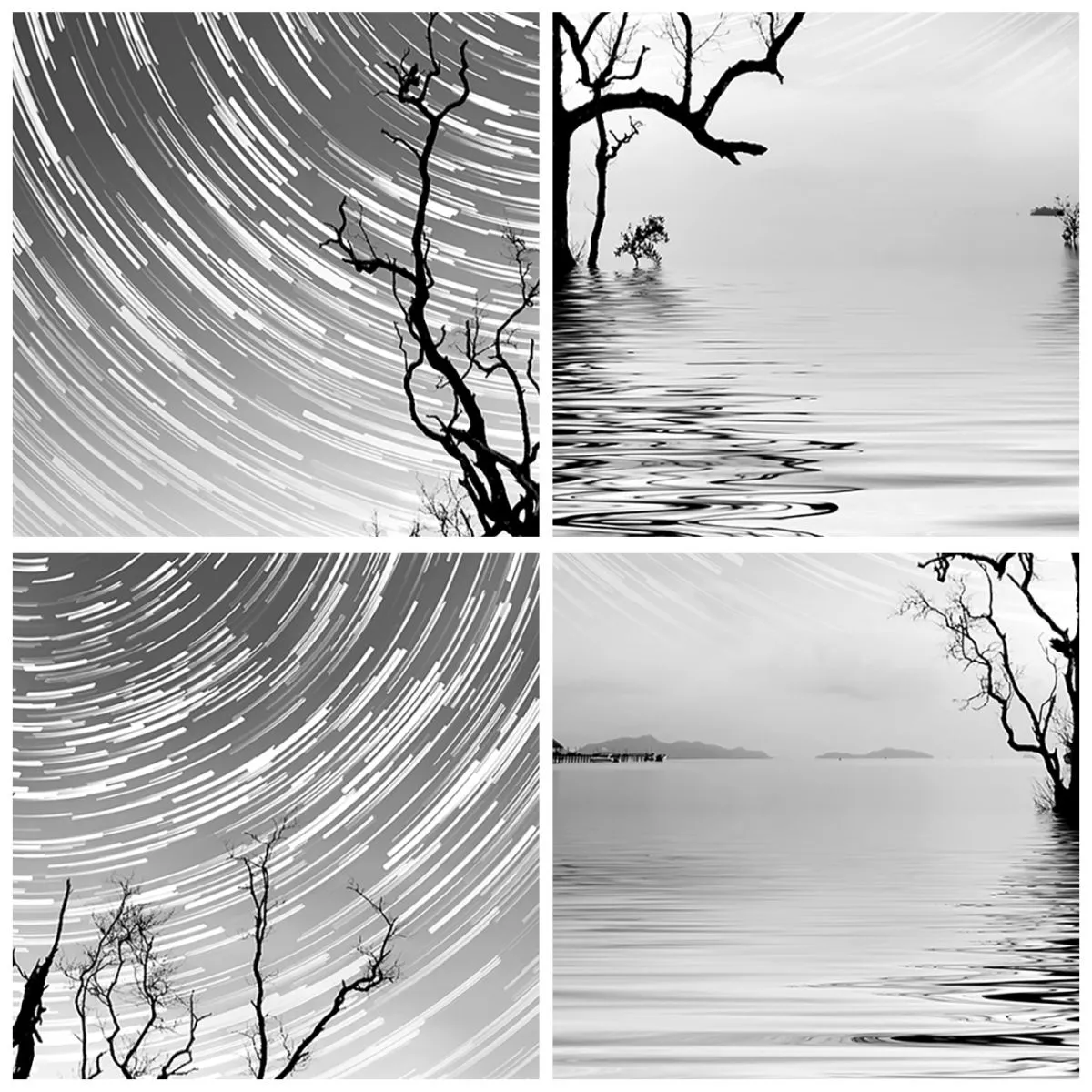 Ceas de perete - Ceas pe sticlă - Peisaj alb-negru cu un copac pe apă și cercuri de stele - 30x30cm - O simfonie a naturii - Decorațiune modernă pentru perete pentru living, bucătărie și dormitor ARTTOR