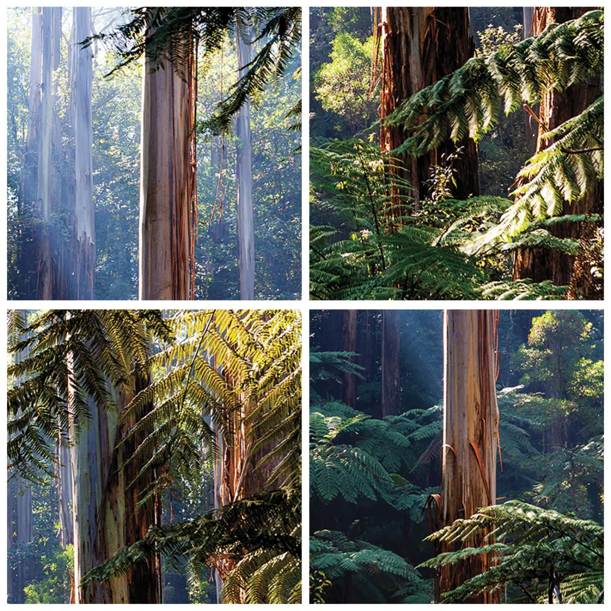 Reloj de pared - Reloj de vidrio - Selva tropical con árboles altos y helechos. - 30x30cm - Un cuento de hadas del bosque - Decoración de pared moderna para salón, cocina y dormitorio ARTTOR