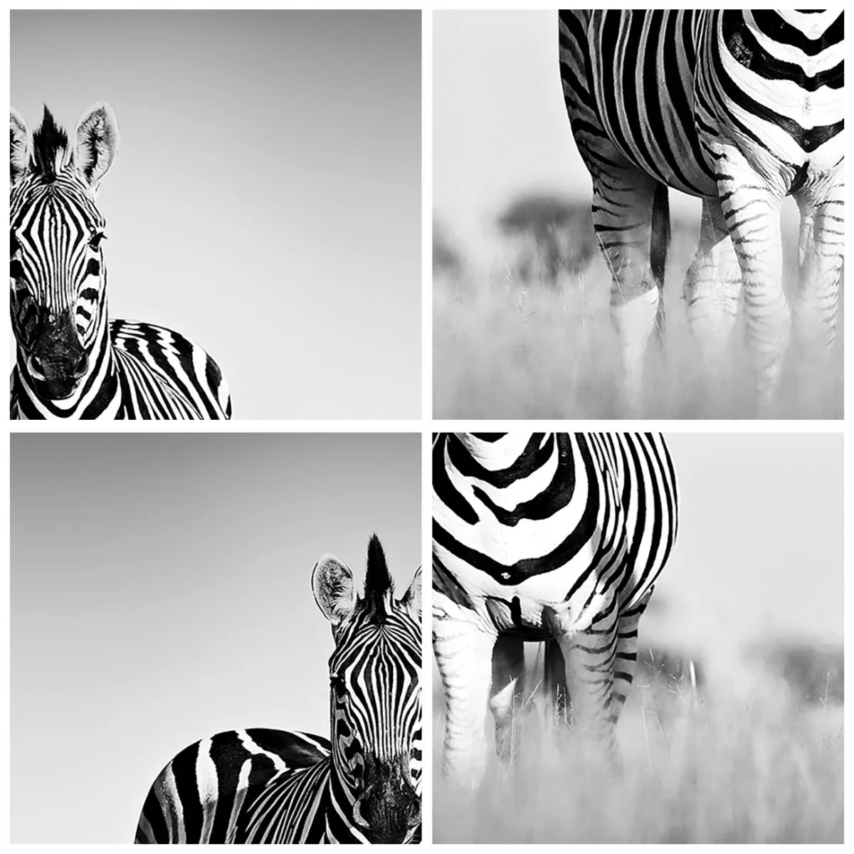 Vægur, Uret - To zebraer i savannen i sort og hvid - 30x30cm - Og alligevel er verden sort og hvid - Moderne vægdekoration til stue, køkken og soveværelse ARTTOR