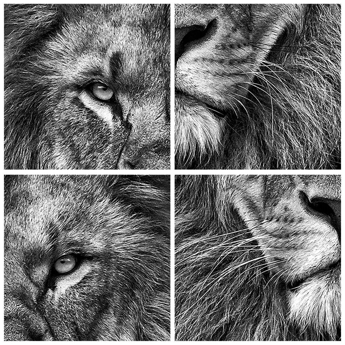 Nástěnné hodiny - V korunovačním oděvu - 30x30 cm