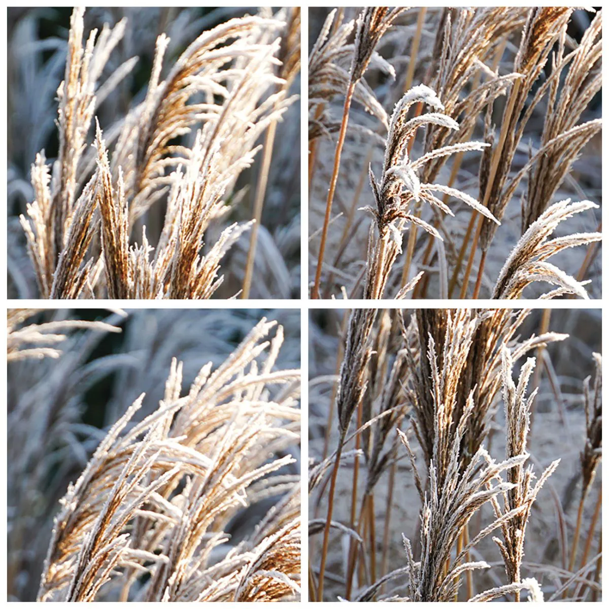 Wall clock - Clock on glass - Decorated with Frost - 30x30 cm