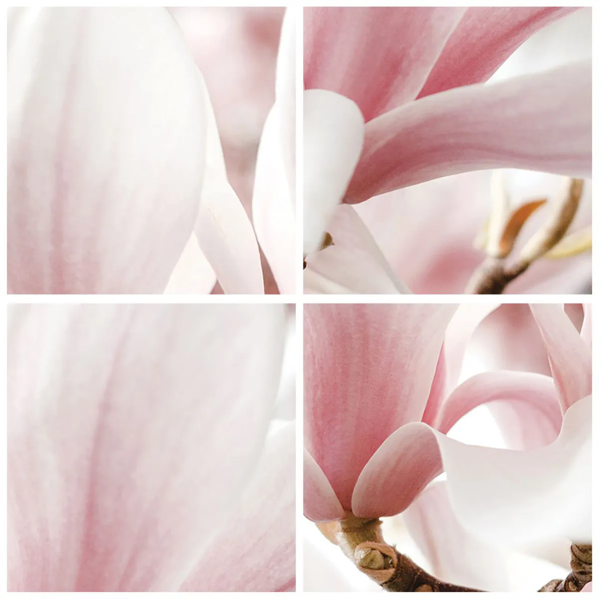 Nástenné hodiny - Jemné magnólie v odtieňoch ružovej a bielej - 30x30cm - Nesmiernosť nežnosti - Moderná nástenná dekorácia do obývacej izby, kuchyne a spálne ARTTOR