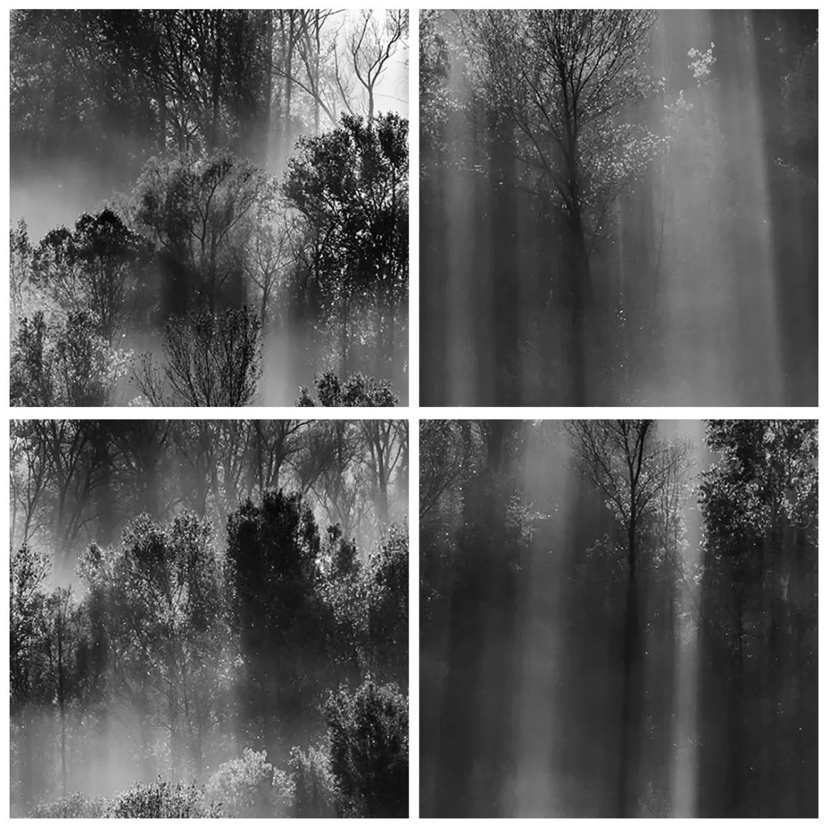 Wanduhr - Glasuhr - Ein schwarz-weißer Wald, beleuchtet von Lichtstrahlen - 30x30cm - In Lichtstrahlen - Moderne Wanddekoration für Wohnzimmer, Küche und Schlafzimmer ARTTOR