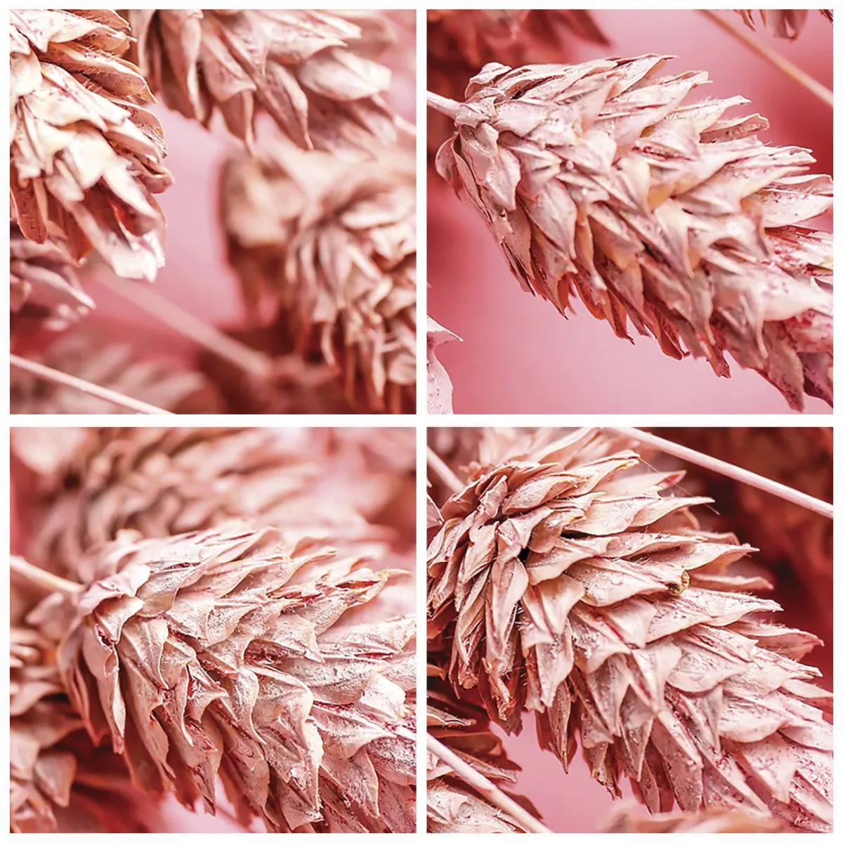 Wall clock - Clock on glass - Close-up of pink ears of corn on a pastel background - 30x30cm - Flowery Cascade in Pink - Modern wall decoration for the living room, kitchen, and bedroom ARTTOR