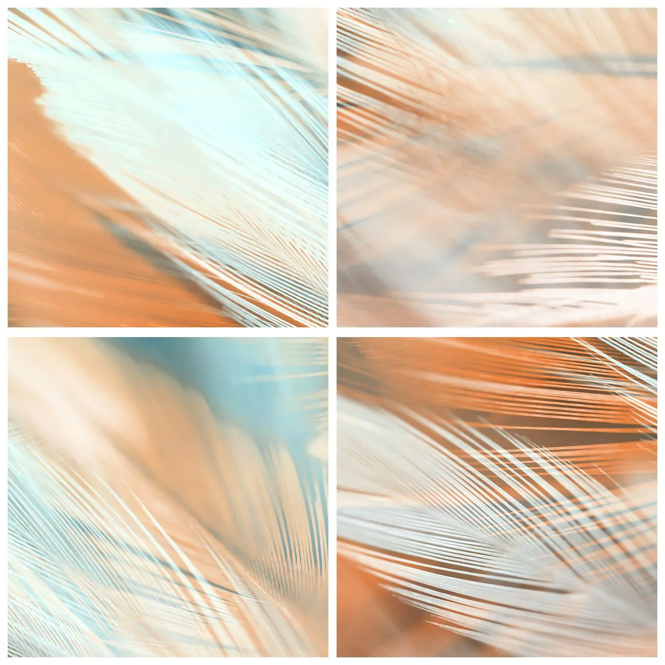 Ceas de perete - Ceas pe sticlă - Pene delicate în nuanțe pastelate de albastru și piersică - 30x30cm - În țara blândeții - Decorațiune modernă pentru perete pentru living, bucătărie și dormitor ARTTOR