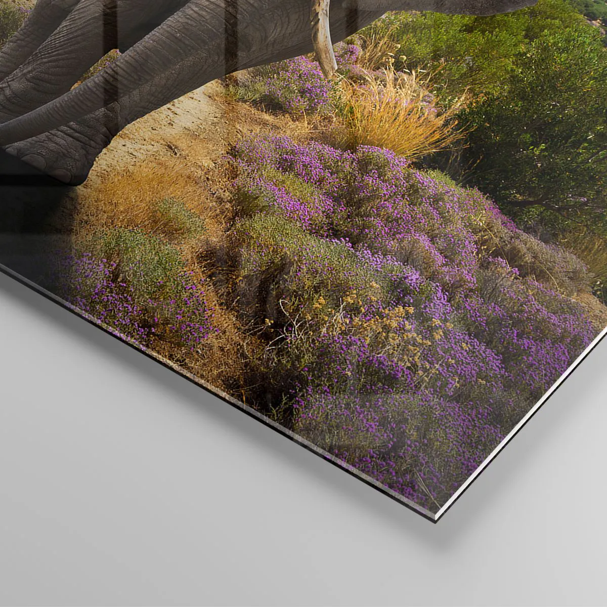 Cuadro sobre vidrio - Impresiones sobre Vidrio - Este es el aspecto del Edén - 30x30 cm