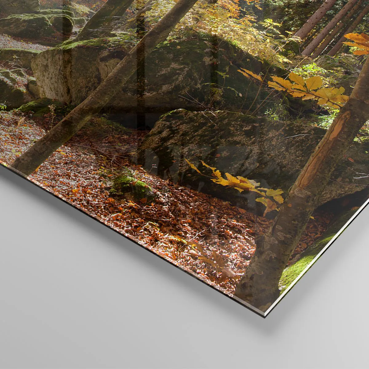 Obraz na skle - Jesenný les so slnečnými lúčmi a kameňmi - 70x50cm - Čas na odpočinok - Moderná nástenná dekorácia do obývacej izby a spálne ARTTOR