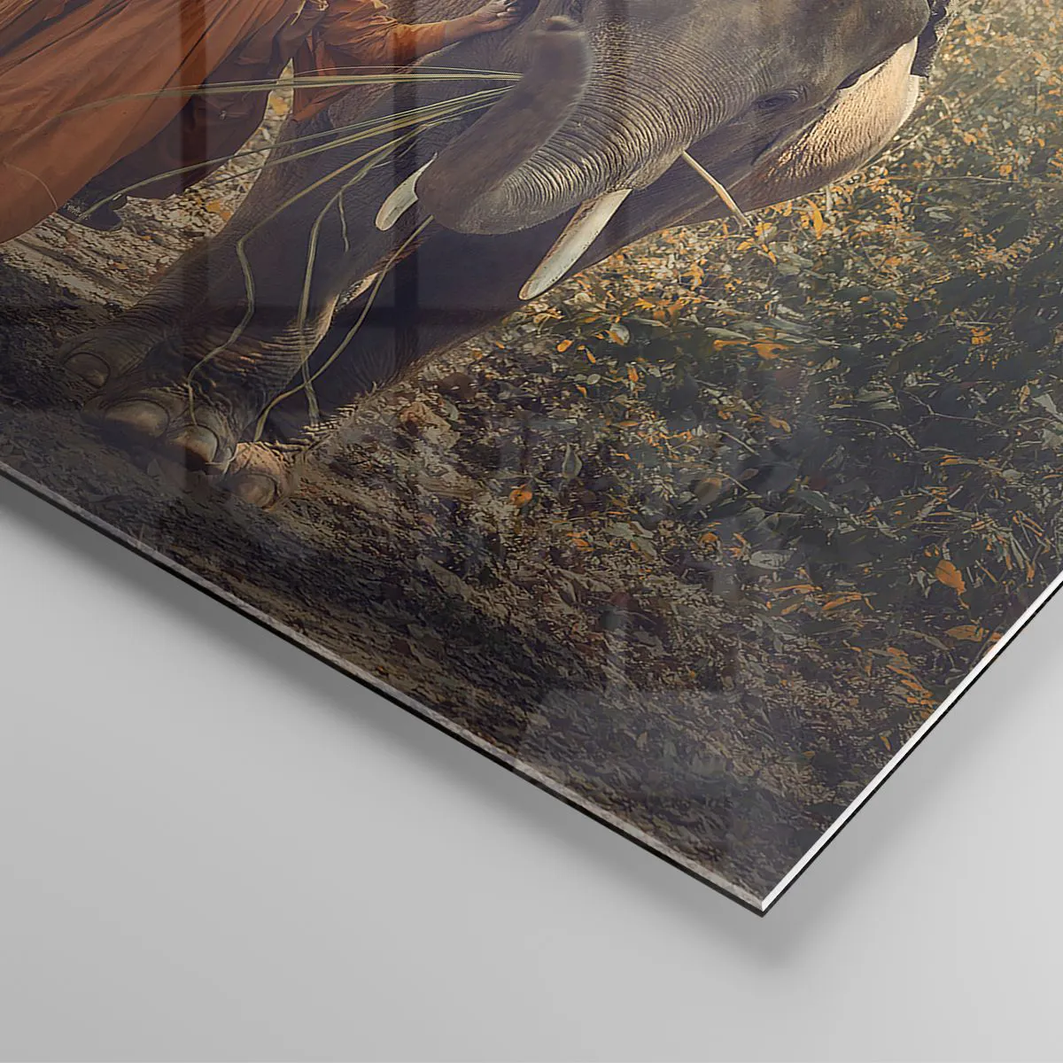 Quadro In Vetro Panoramico 100x40 Cm Con Elefante E Monaco - Stampa Artistica Su Vero Vetro 4 Mm Con Sospensione A Muro E Distanziatori - Made In Germany