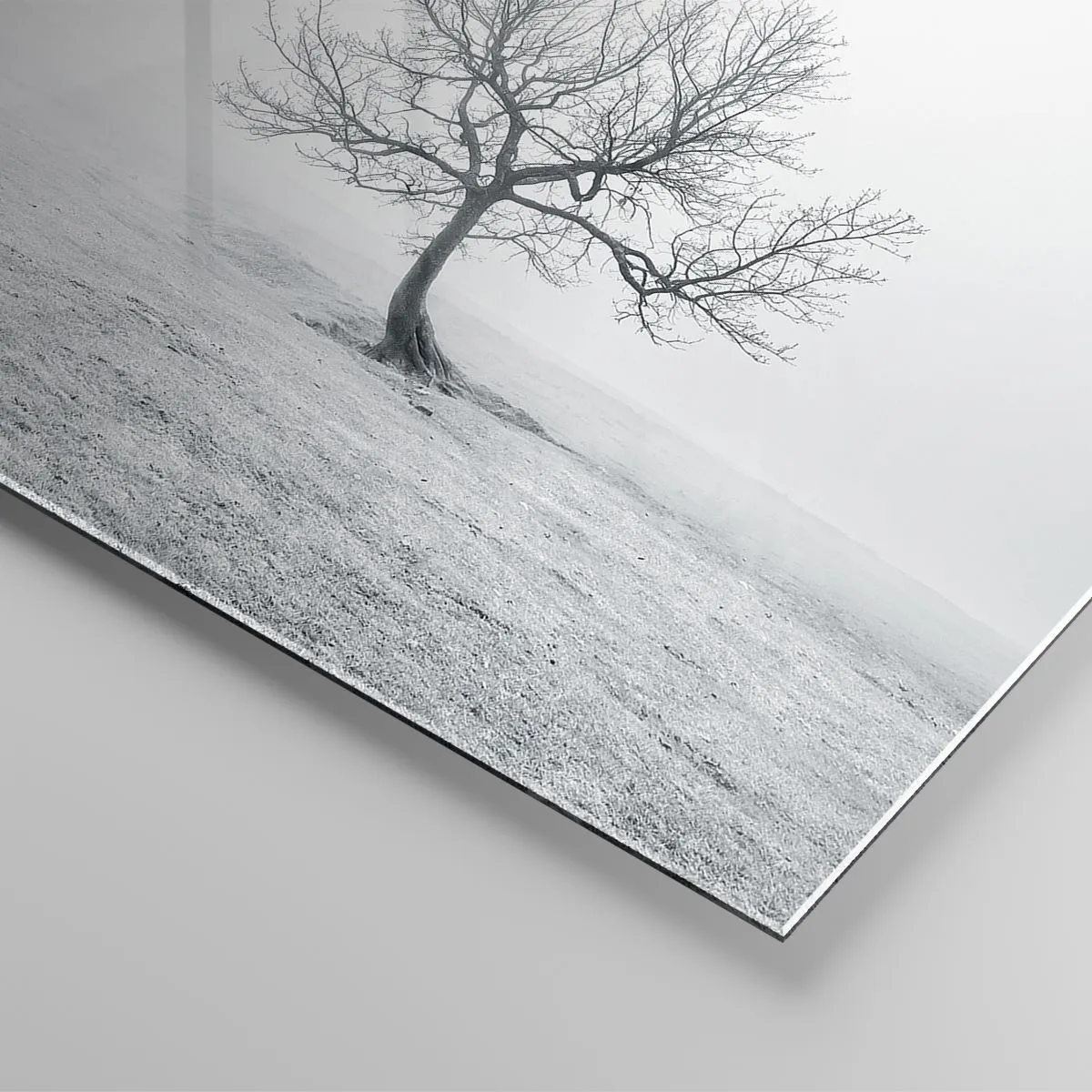 Impression sur verre - Image sur verre - Un arbre solitaire contre le brouillard dans une composition monochrome - 50x70cm - Contre le néant - Décoration murale moderne pour le salon et la chambre ARTTOR