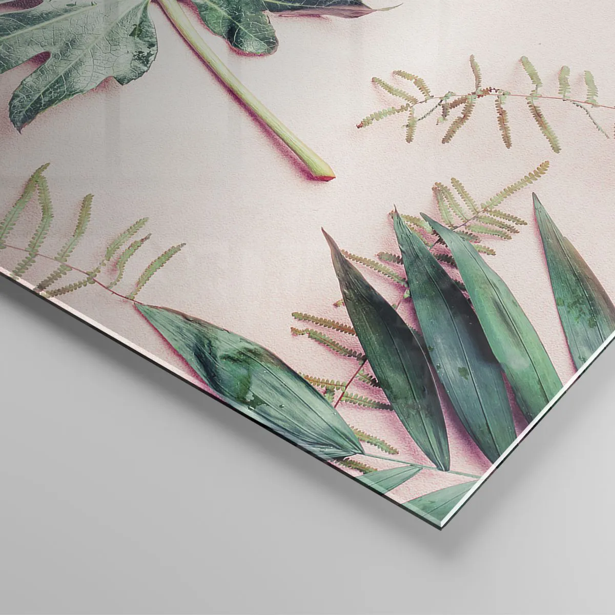 Tablou pe sticlă - Studiu de verdeață pe un fundal roz - 70x100 cm