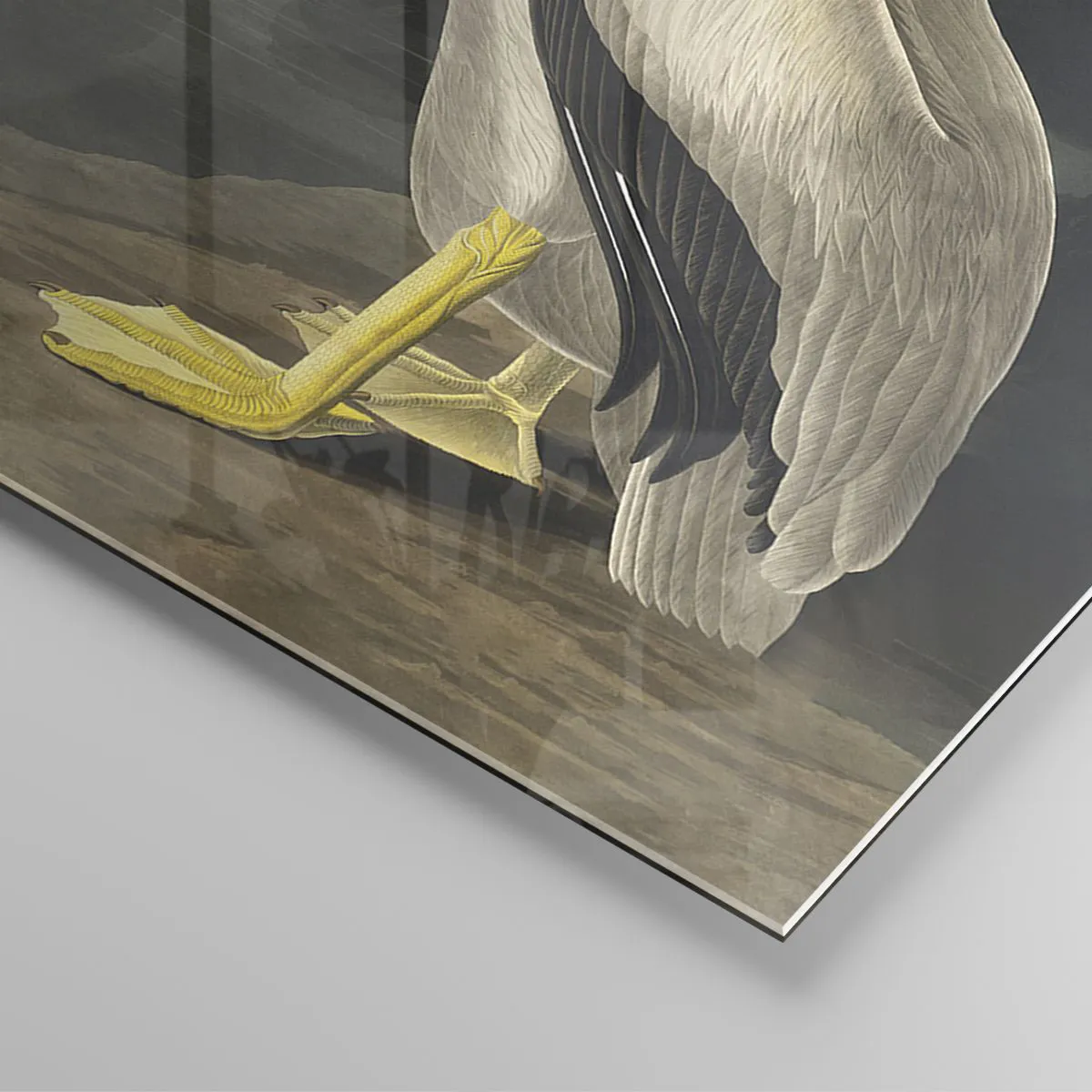 Cuadro sobre vidrio - Impresiones sobre Vidrio - Con orgullo - 70x100 cm