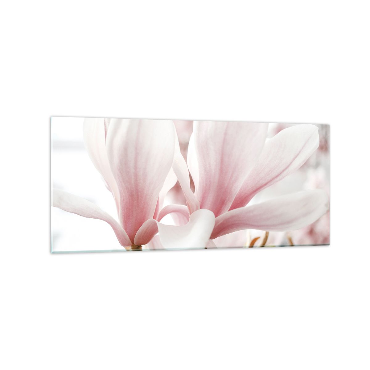 Runa Art Quadri Moderni Fiori Magnolia Tela Non Tessuta Soggiorno Corridoio Spa Grigio Rosa 036512a