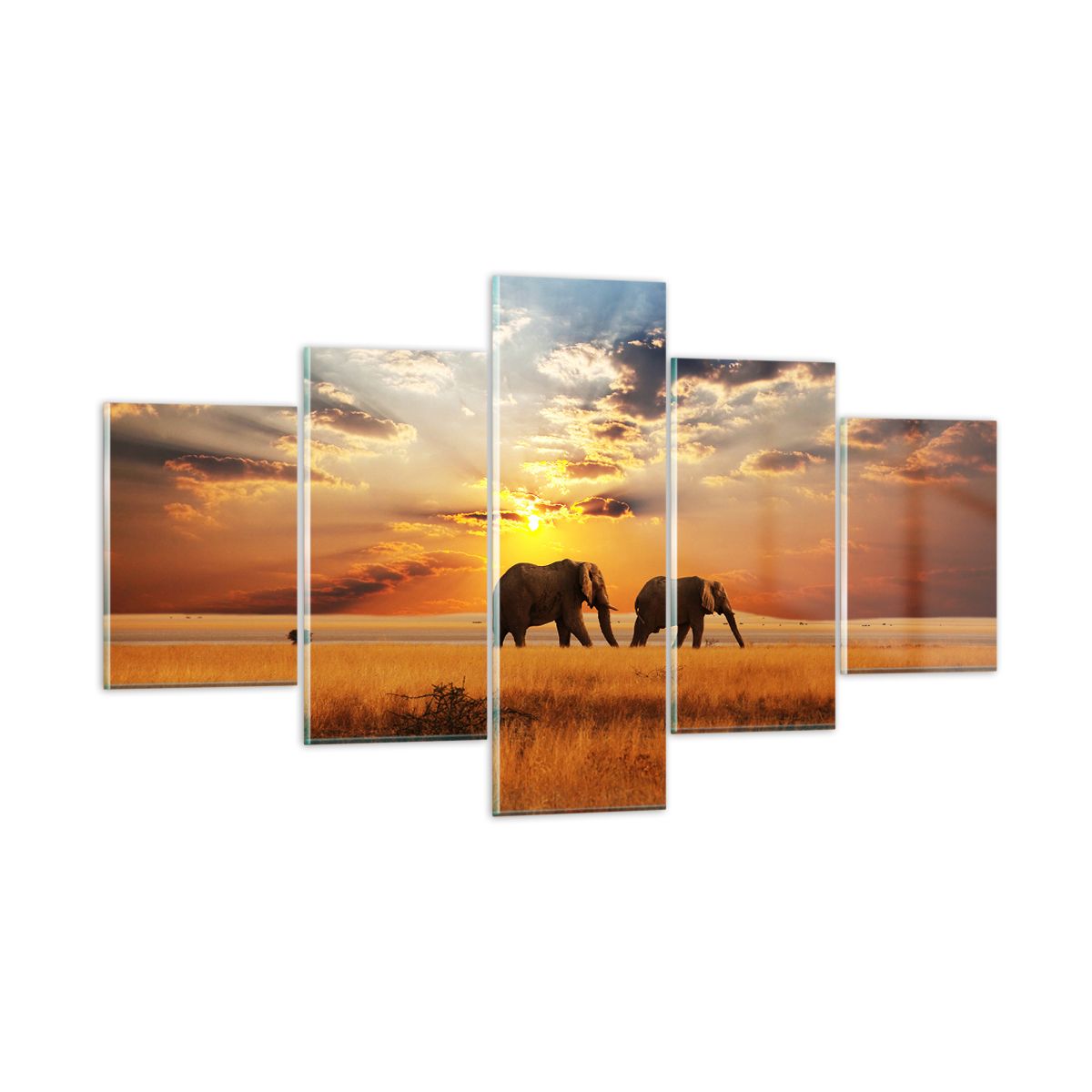 Quadro su Vetro 140x50cm Elefante africa illustrazione