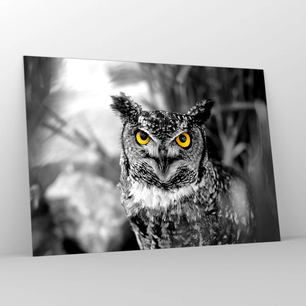 Impression sur verre - Image sur verre - Un hibou aux yeux jaunes sur fond noir et blanc - 100x70cm - Rien ne se cachera - Décoration murale moderne pour le salon et la chambre ARTTOR
