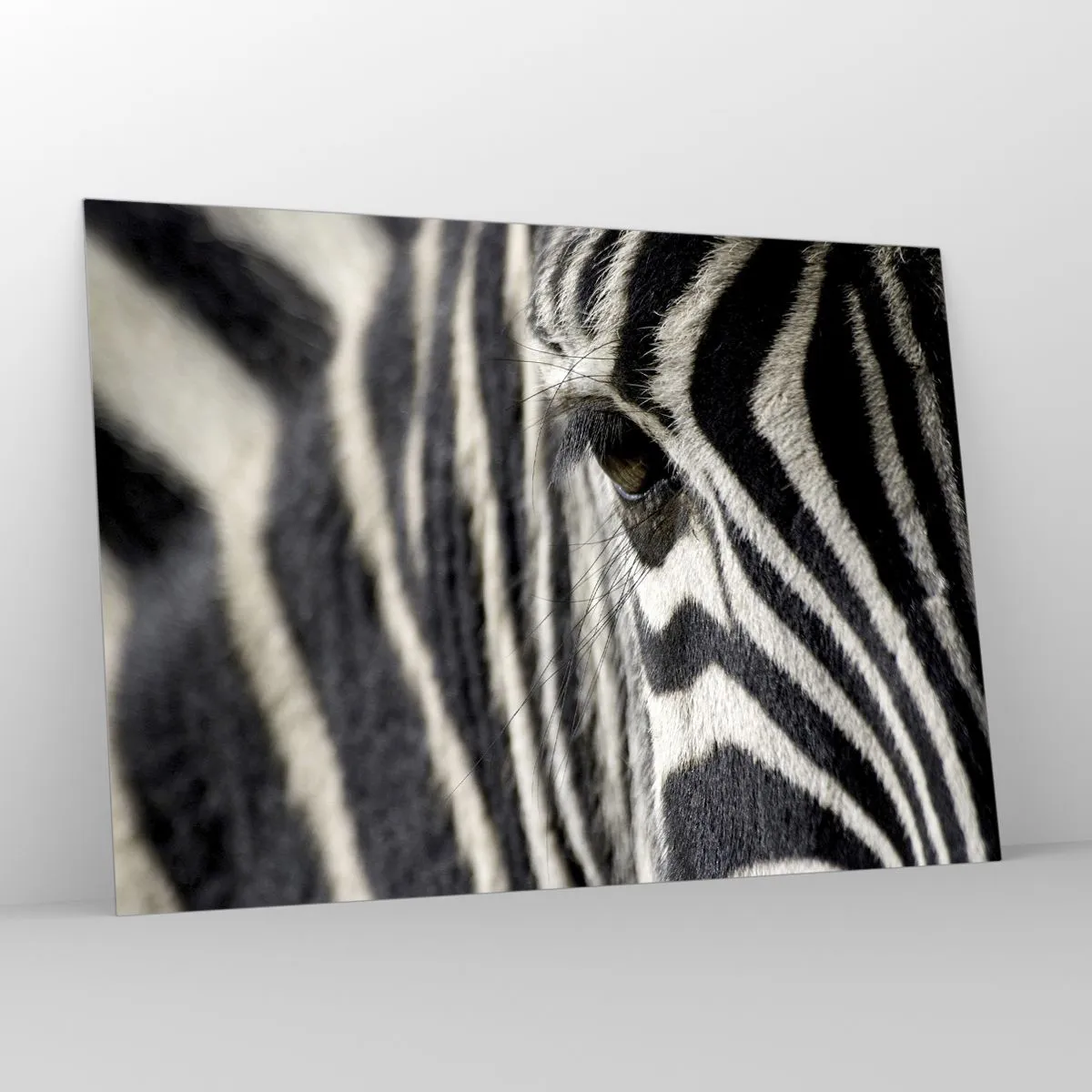 Obraz na skle - Portrét s pruhmi - 100x70 cm