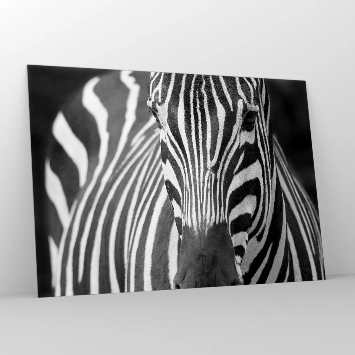 Impression sur verre - Image sur verre - Portrait noir et blanc d'un zèbre avec des rayures visibles - 100x70cm - Le monde est noir et blanc - Décoration murale moderne pour le salon et la chambre ARTTOR