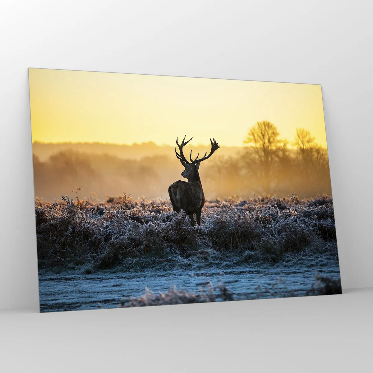 Glasbild - Bild auf glas - Hirsch an einem frostigen Morgen mit dem Sonnenaufgang im Hintergrund - 100x70cm - Gekrönt auf seinem Besitz - Moderne Wanddekoration für Wohnzimmer und Schlafzimmer ARTTOR