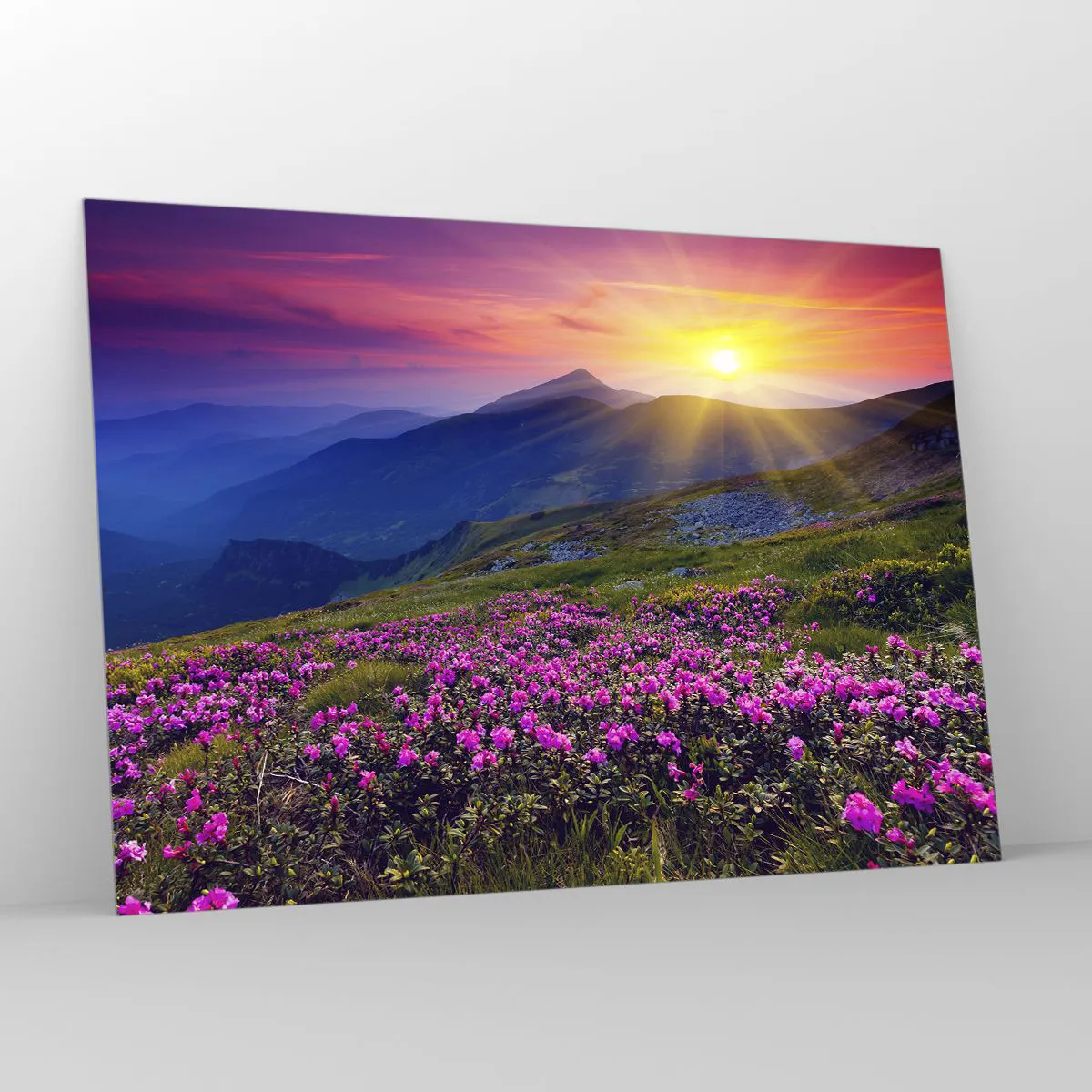 Tablou pe sticlă - ... Și peste tot în jur se simte un miros de jneapăn și parfum de ierburi... - 100x70 cm