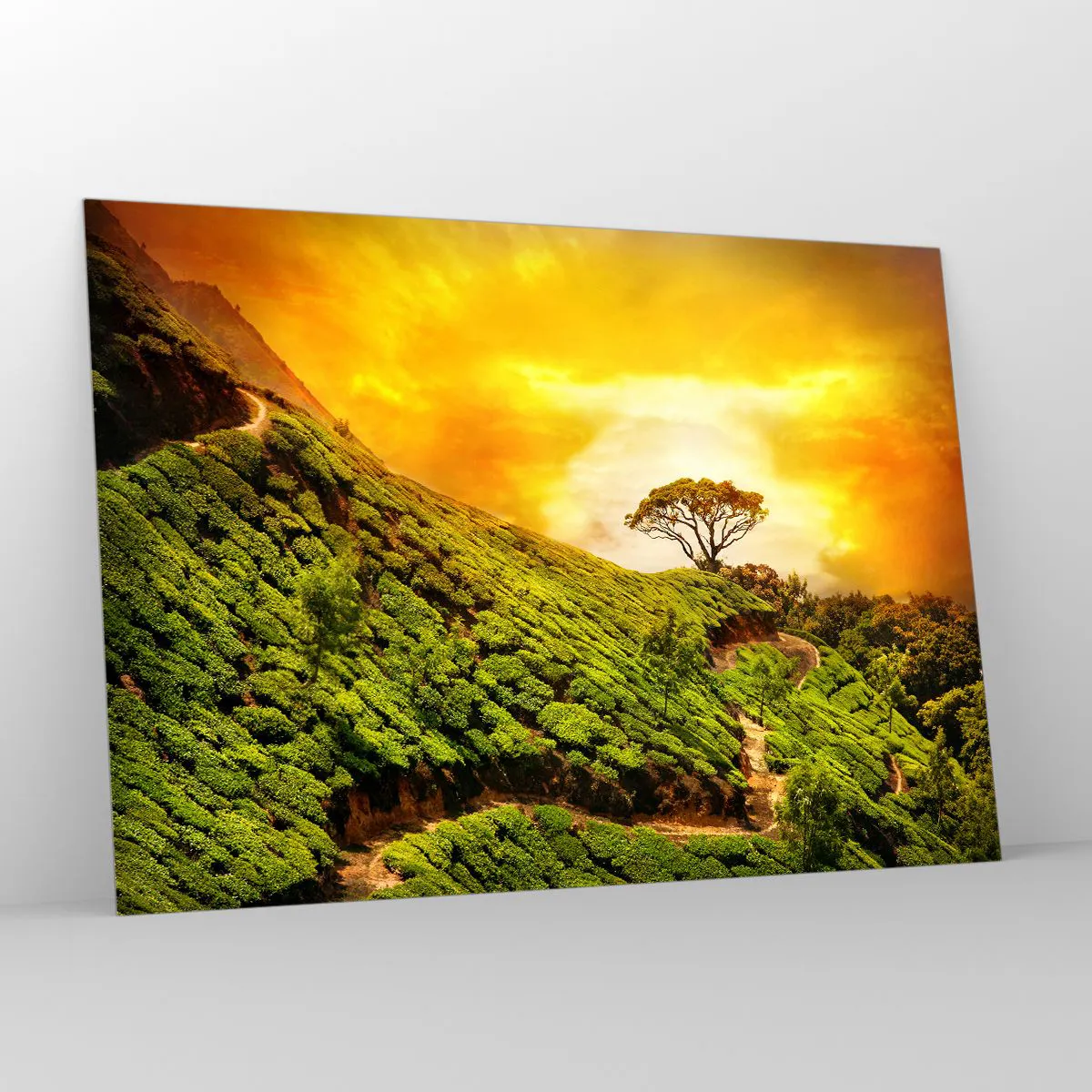 Billede på glas - En snoet sti, en grøn skråning - 100x70 cm