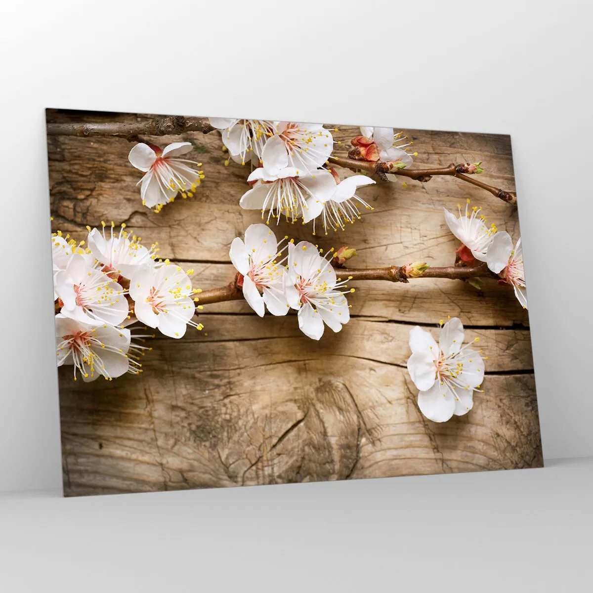 Quadro su vetro - Rami di ciliegi in fiore su uno sfondo di legno - 100x70cm - Ed è giunta la primavera - Decorazione murale moderna per soggiorno e camera da letto ARTTOR